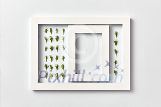Empty frame with copy space and herbal pattern of young pine needles in a rectangular frame on a light gray background, place for text. Flat lay. Greeting card
