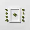 Creative organic composition with freshly picked green broccoli in a frame and out of it on a light gray background, place for text. Flat lay. Vegan concept.