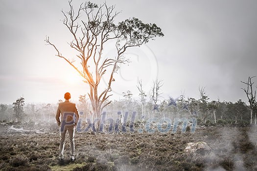 Businessman with back standing alone in misty forest. Mixed media Businessman with back standing alone in misty forest. Mixed media