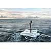 Businesswoman on ice block floating in sea . Mixed media