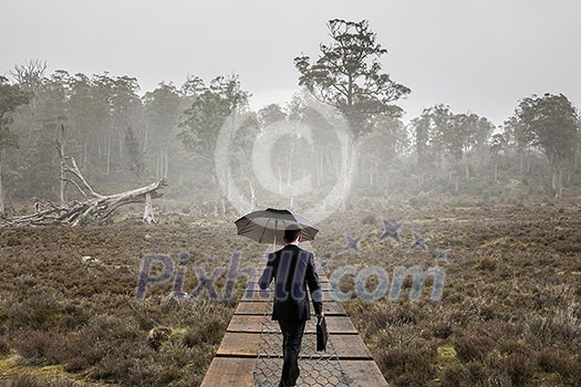 Businessman with umbrella walking alone in forest. Mixed media