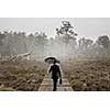 Businessman with umbrella walking alone in forest. Mixed media