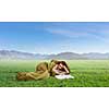 Young woman lying in sleeping bag lying on green grass. Mixed media