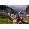 Excited young couple driving alpine coaster while enjoying beautiful sunny day in the nature