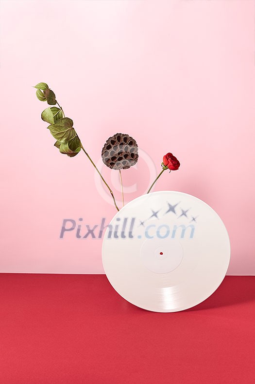 Vinyl white retro record decorated with dry branches and a red flower on a duotone rose red background with copy space