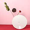 Vinyl white retro record decorated with dry branches and a red flower on a duotone rose red background with copy space