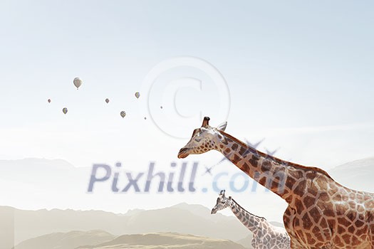 Big giraffe animal against cityscape day background Big giraffe animal against cityscape day background