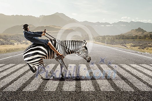 Young pretty fearless woman riding zebra animal
