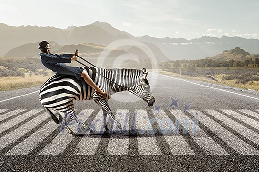 Young pretty fearless woman riding zebra animal Young pretty fearless woman riding zebra animal