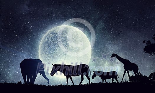 African landscape with wildlife at full moon background