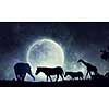African landscape with wildlife at full moon background