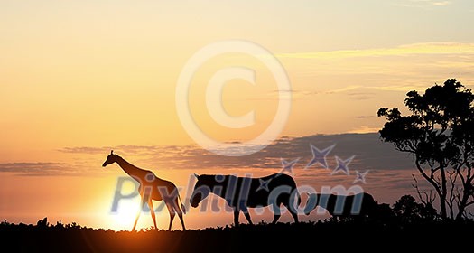 Silhouettes of african animals on golden sunset background Silhouettes of african animals on golden sunset background