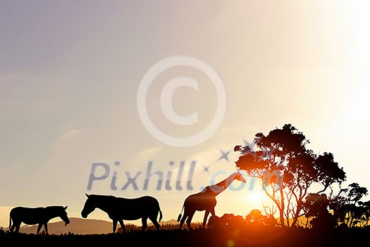 Silhouettes of african animals on golden sunset background Silhouettes of african animals on golden sunset background
