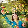 Cute young woman picking apples in an orchard having fun harvesting the ripe fruits of her family's labour(color toned image)