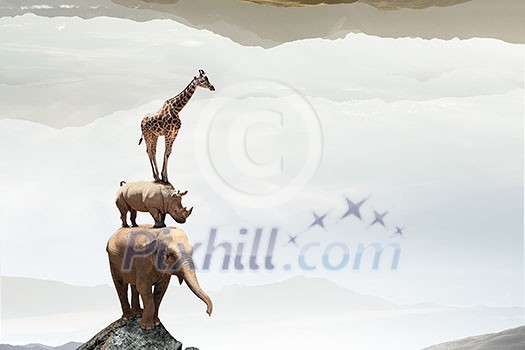 Giraffe rhino and elephant standing on each other. Mixed media Giraffe rhino and elephant standing on each other. Mixed media