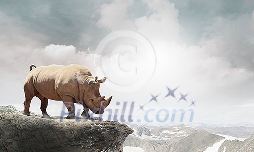 Rhino animal standing on rock top. Mixed media