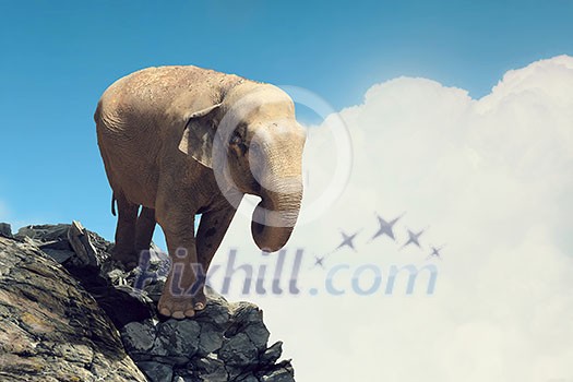 Elephant animal walking on rock top. Mixed media