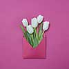 Congratulation post card of handcraft envelope of white tulips on a purple background with place for text. Flat lay.
