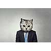 Businessman with cat head on concrete background. Mixed media