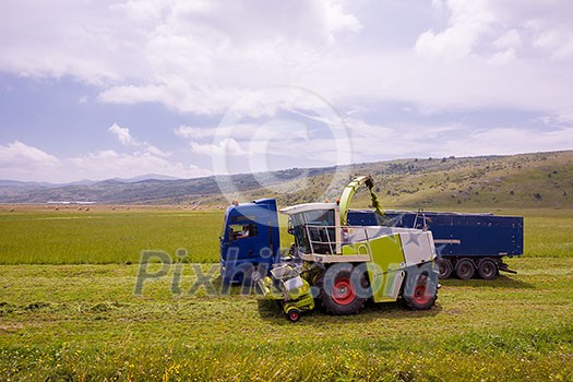 harvest time - combine machine loading harvested grain into the bunker of the truck