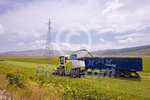 harvest time - combine machine loading harvested grain into the bunker of the truck