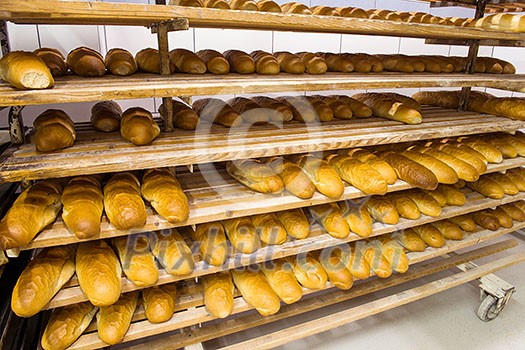 bread bakery food factory production with fresh products prepare to move on in the shelf