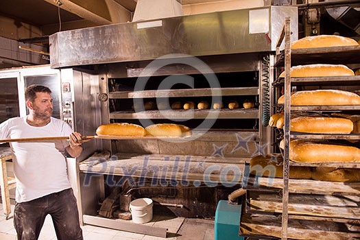 bakery worker taking out freshly baked breads with shovel from the professional oven at the manufacturing bakery worker taking out freshly baked breads with shovel from the professional oven at the manufacturing