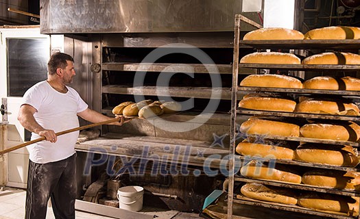 bakery worker taking out freshly baked breads with shovel from the professional oven at the manufacturing bakery worker taking out freshly baked breads with shovel from the professional oven at the manufacturing