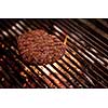 Assorted delicious grilled meat over the coals on barbecue