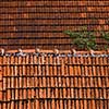 Old roof tiles background