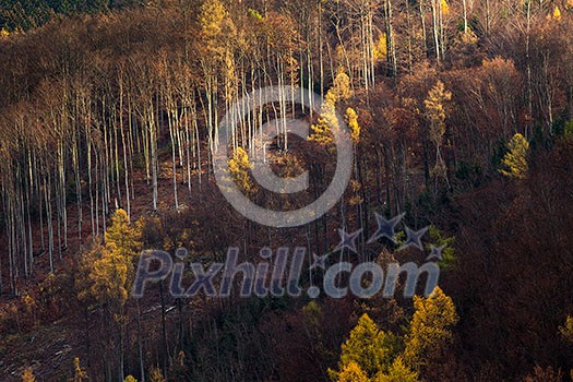 Autumn landscape (shallow DOF; color toned image)