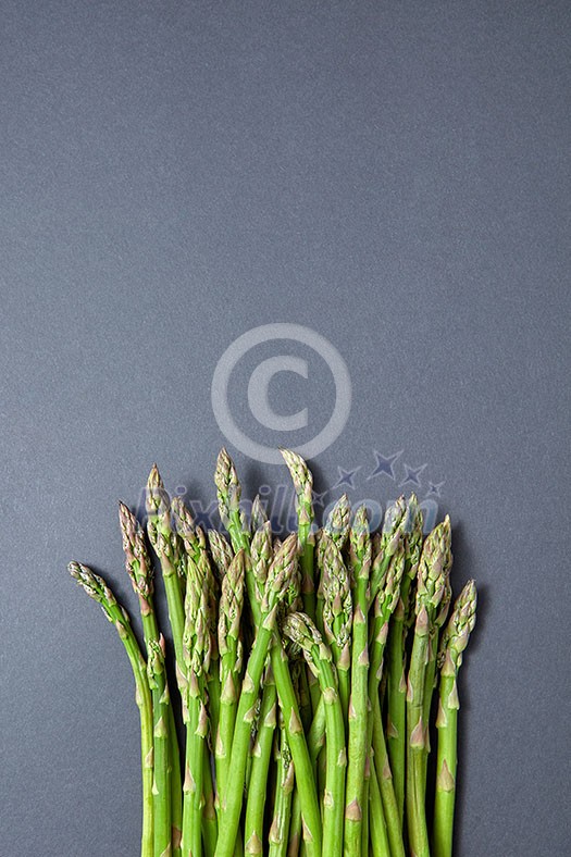 Fresh raw asparagus for cooking vegetarian food on a gray background with copy space. Top view. Vegan healthy nutrition concept.