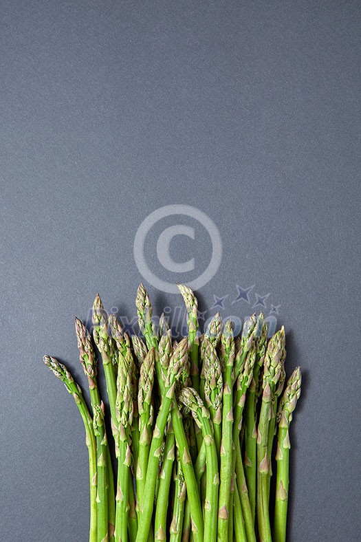 Fresh raw asparagus for cooking vegetarian food on a gray background with copy space. Top view. Vegan healthy nutrition concept. Fresh raw asparagus for cooking vegetarian food on a gray background with copy space. Top view. Vegan healthy nutrition concept.