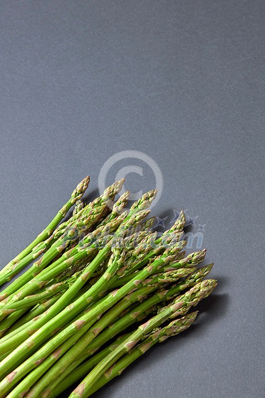 Freshly picked raw natural asparagus for preparation vegan food on a grey background with copy space. Vegetarian healthy eating.