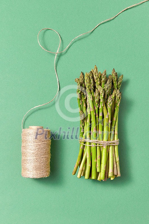 Raw vagetable ripe asparagus bunch and rope on a pastel green background with soft shadows, copy space. Healthy ingredients for vegan eating