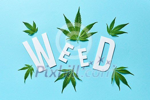 Creative pattern with green cannabis leaves and white paper word Weed on a light blue background. Creative pattern with green cannabis leaves and white paper word Weed on a light blue background.