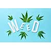 Creative pattern with green cannabis leaves and white paper word Weed on a light blue background.