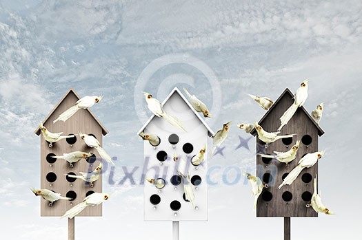 Conceptual image with nesting box and many birds living in it