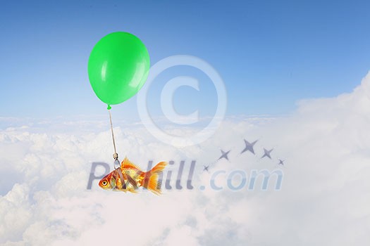 Concept of surrealism with gold fish flying on air balloon