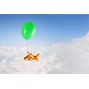 Concept of surrealism with gold fish flying on air balloon