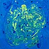 Abstract oil paint can be used as a trendy background for wallpapers, posters and cards. Marble effect painting.