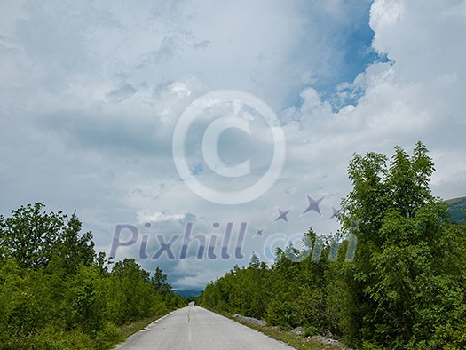emptry road on countryside at cloudy summer day emptry road on countryside at cloudy summer day
