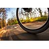 Bicycle riding in a city park on a lovely autumn/fall day (motion blur is used to convey movement)