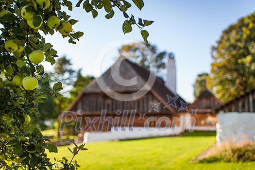 Blurred romantic chalet with in-focus appletree in the foreground Blurred romantic chalet with in-focus appletree in the foreground