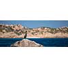 Scenic Sardinia island landscape. Italy sea ​​coast with azure clear water. Nature background