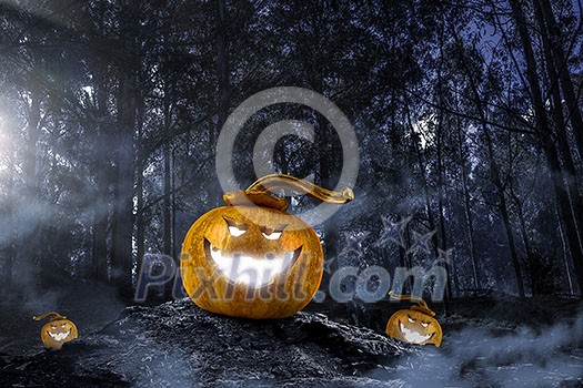 Big orange pumpkin on dark background. Mixed media