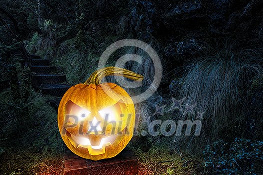 Big orange pumpkin on dark background. Mixed media Big orange pumpkin on dark background. Mixed media