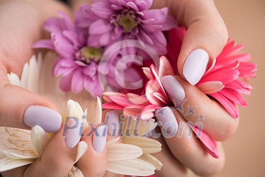 beauty delicate woman hands with manicure holding flower close up