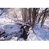 small creek between the trees covered with fresh snow and ice on beatiful sunny winter day  Winter small river in the forest after the snowfal with sunlight