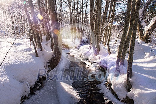 small creek between the trees covered with fresh snow and ice on beatiful sunny winter day Winter small river in the forest after the snowfal with sunlight small creek between the trees covered with fresh snow and ice on beatiful sunny winter day Winter small river in the forest after the snowfal with sunlight